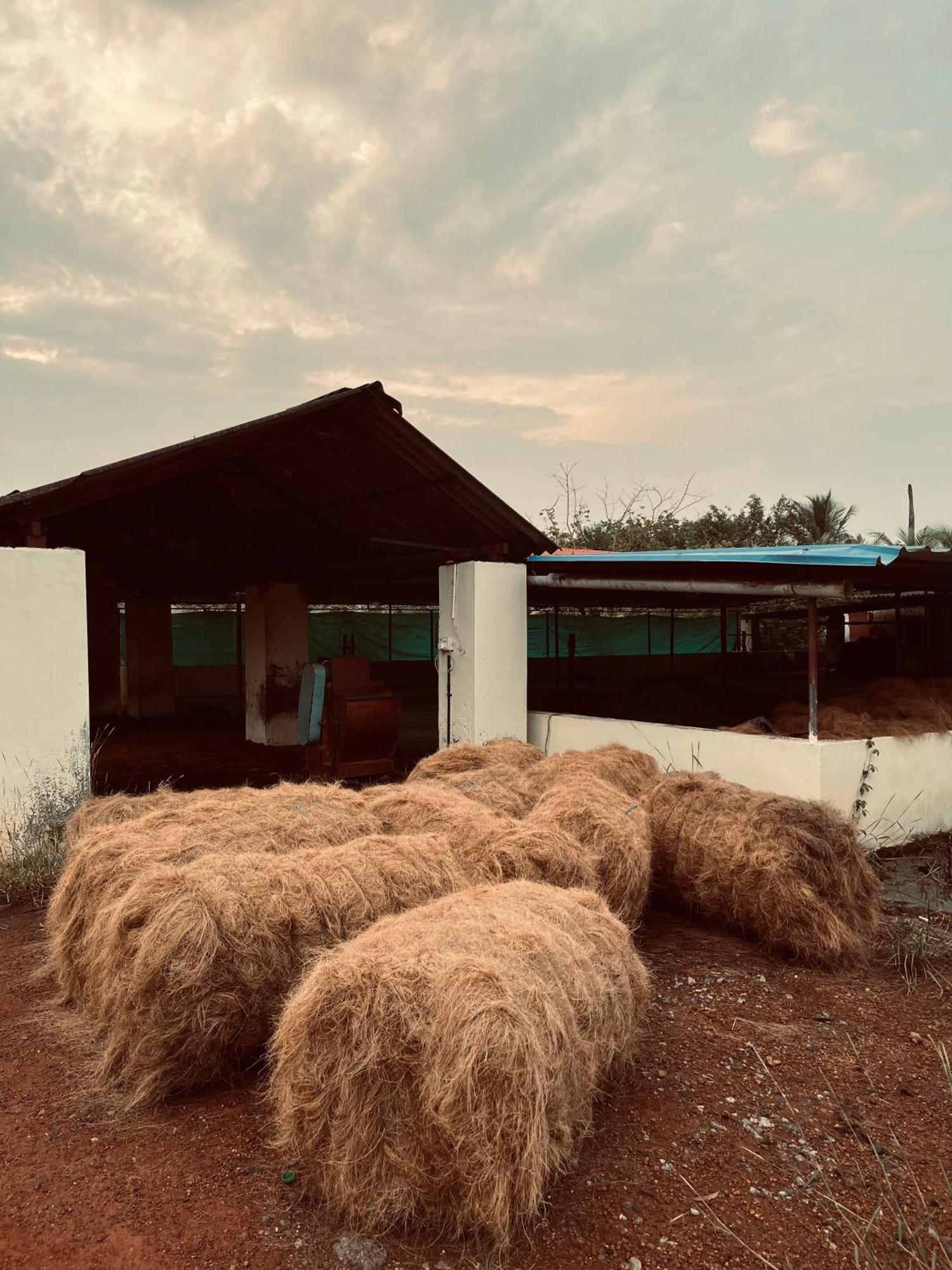 Riverrootsstays Mundrothuruth